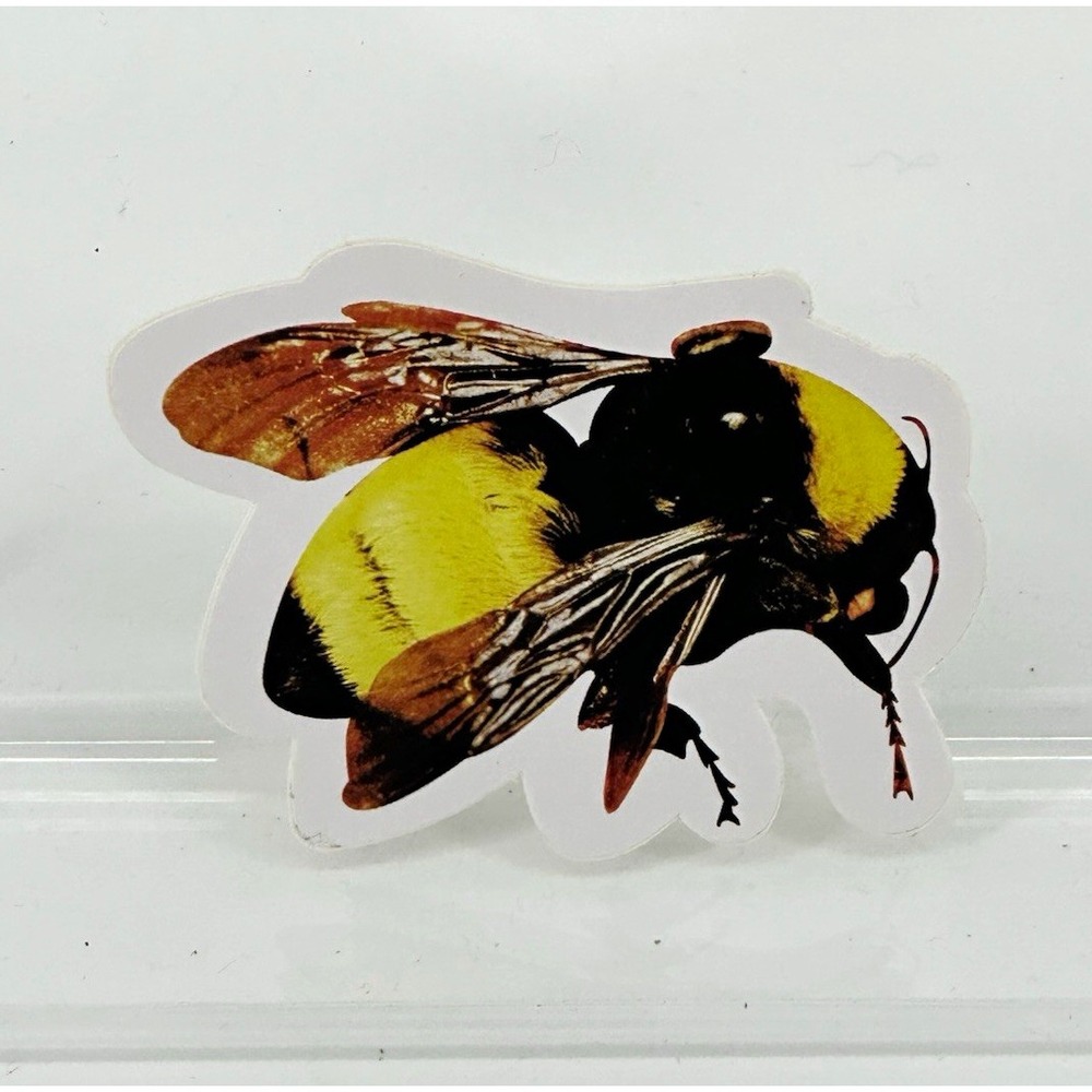 Golf Wang Bee Decal Sticker Yellow Black Brown Small 3in Tyler the Creator